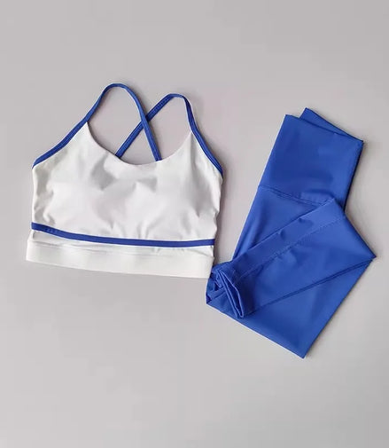 Women's Yoga Set Workout Set 2 Piece High Waist Yoga Leggings Sports Bra Gym Suit Activewear Sports Fitness Set Sports Suit