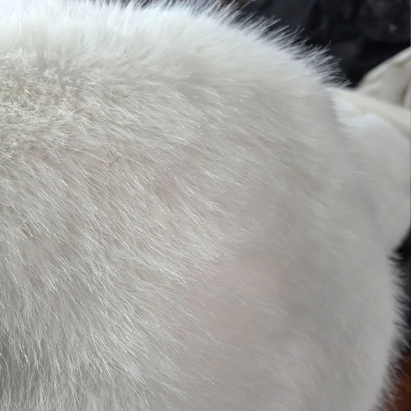 Faux Fox Fur Coat Women Short Jacket Turn Down Collar Long Sleeves Thick Slim Y2k Casual Jackets Office Lady 2025 Autumn Winter