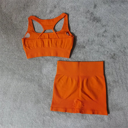 Fitness Yoga Set Seamless Sport Women's Sportswear High Waist Leggings Workout Outfits Two Piece Shorts Sets Womens Gym Clothing